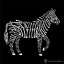 Dámské tričko Zebra skeleton černé