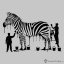 Originální motiv Zebra drawing světle šedý melír